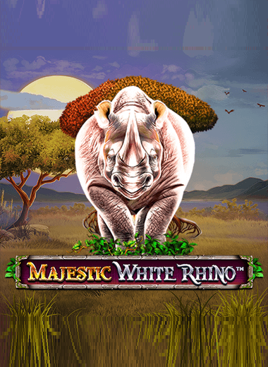 Majestic White Rhino