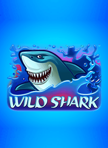 Wild Shark